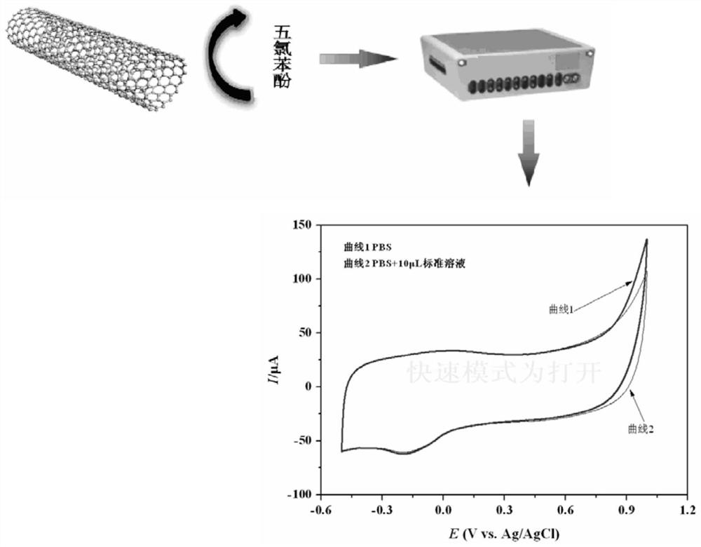 A detection method for pentachlorophenol content in paper packaging materials