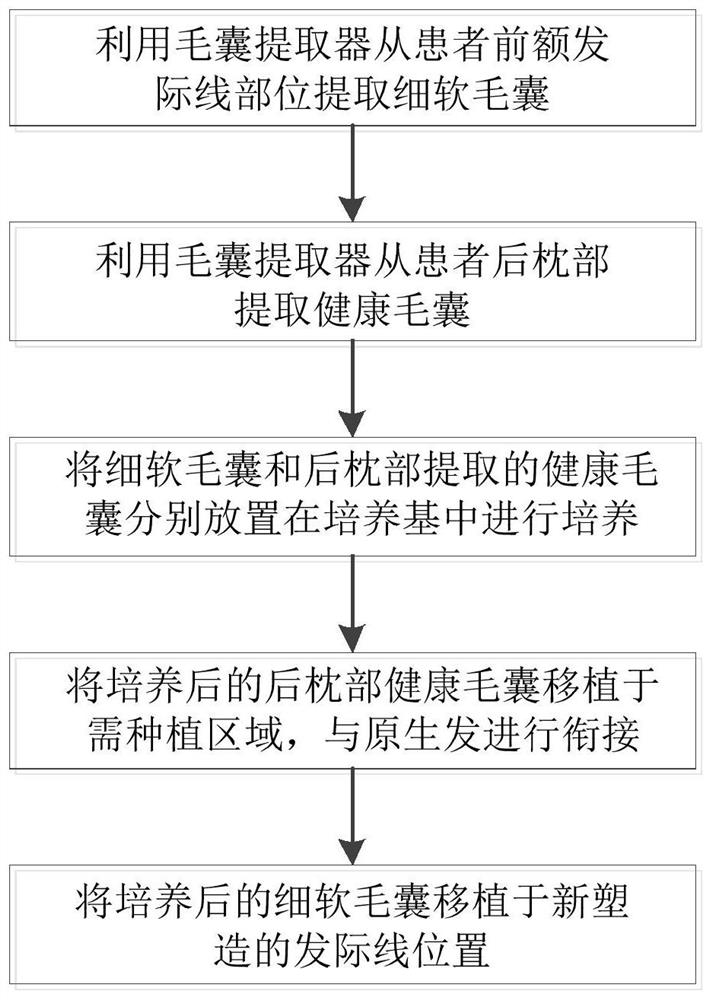 Golden hair follicle transplanting method