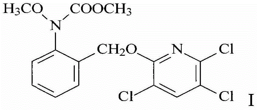 A kind of bactericidal composition and application thereof