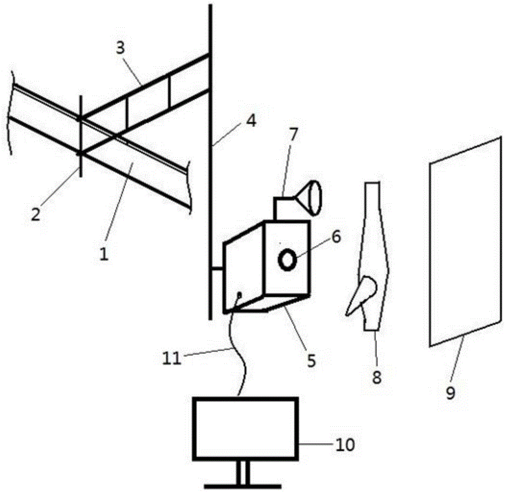 Device and method for automatically grading beef carcass meat yield based on computer vision