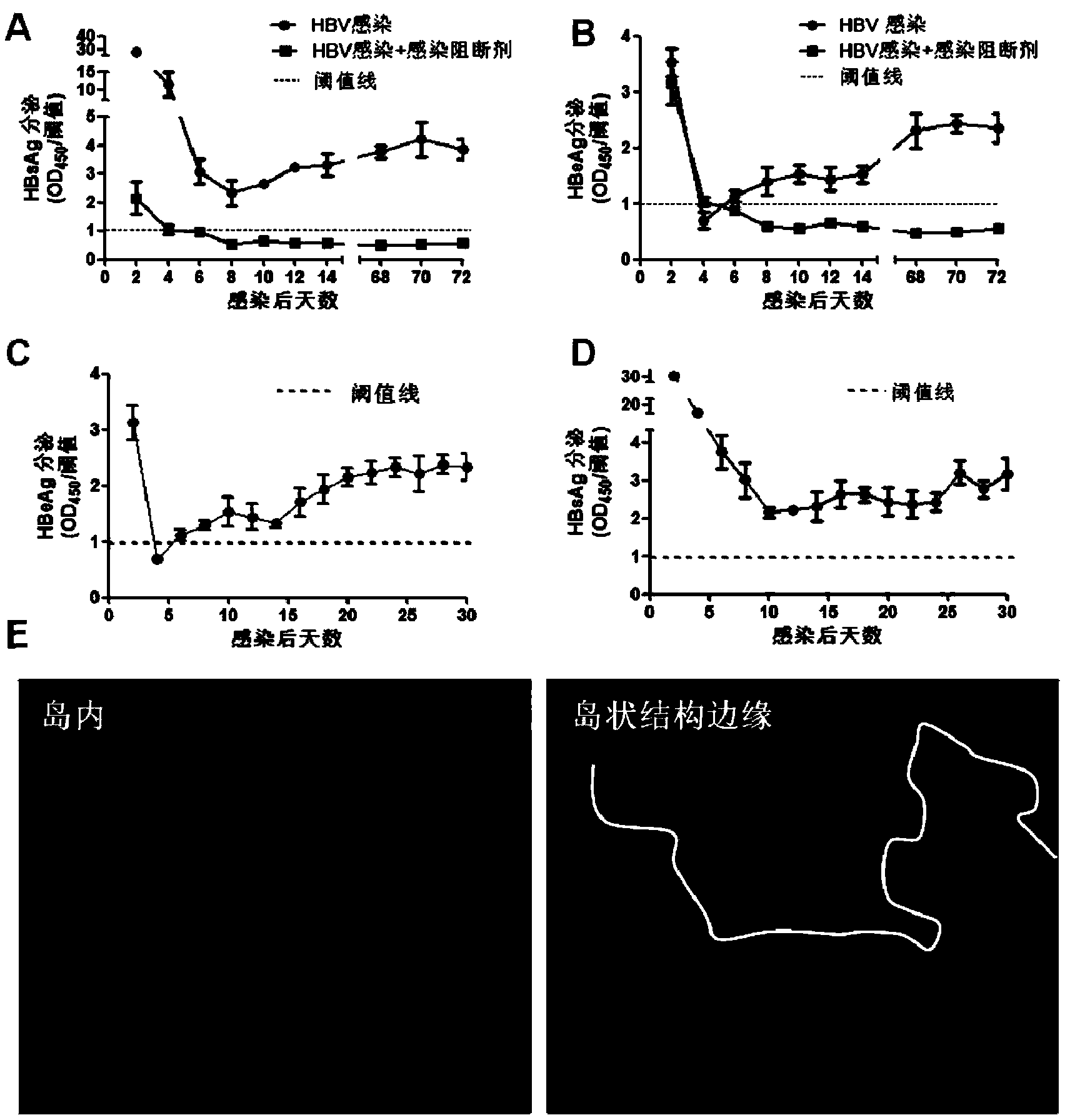 Co-culturing method of human primary hepatocytes and liver nonparenchymal cells