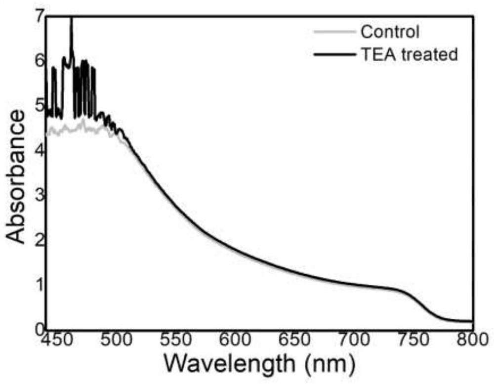 Method for passivating perovskite and preparation process of perovskite solar cell