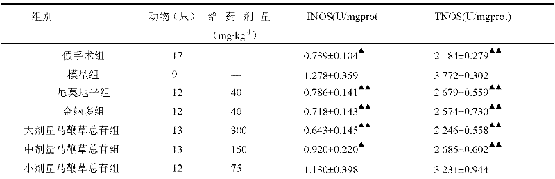 Application of total glycosides of verbena in preparation of medicines for controlling cerebral ischemia