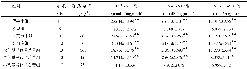 Application of total glycosides of verbena in preparation of medicines for controlling cerebral ischemia