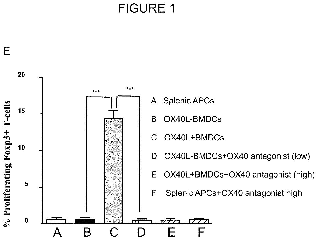 T-REG cell expansion