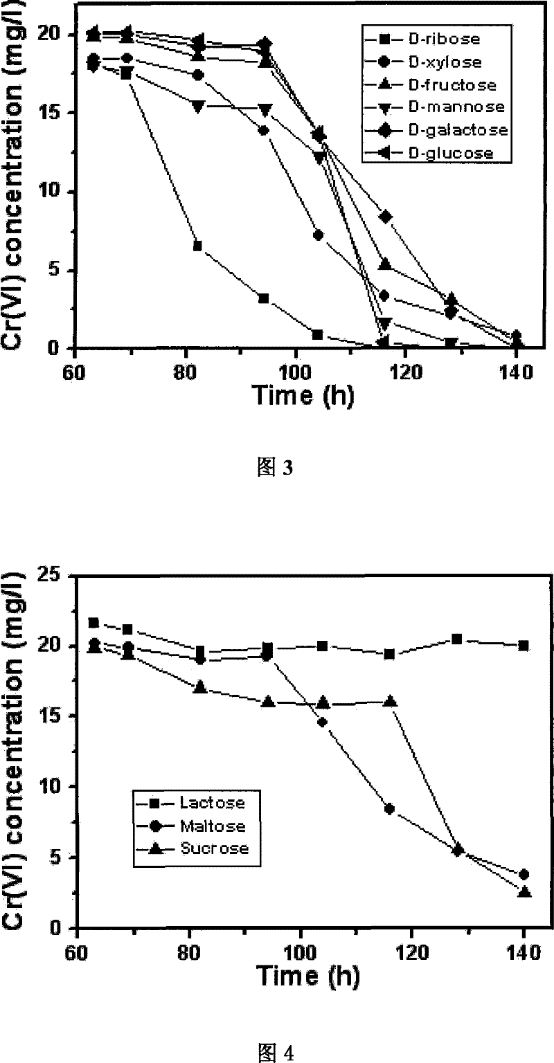 Ochrobactrum CTS-325 and culture method thereof and application thereof in reduction of hexavalent chromium