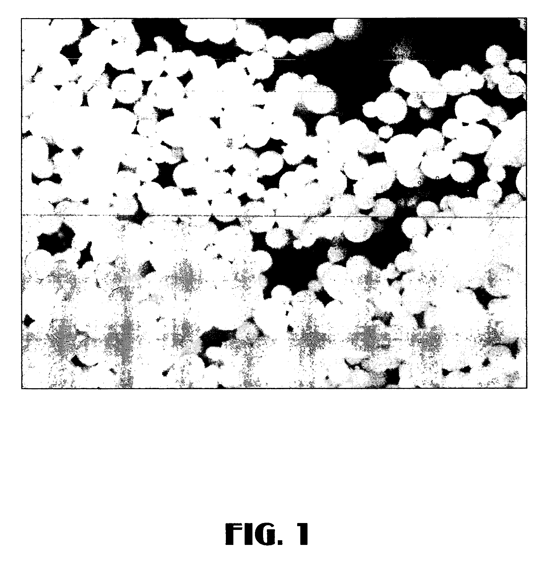 Ziegler-natta catalyst and method for making and using same