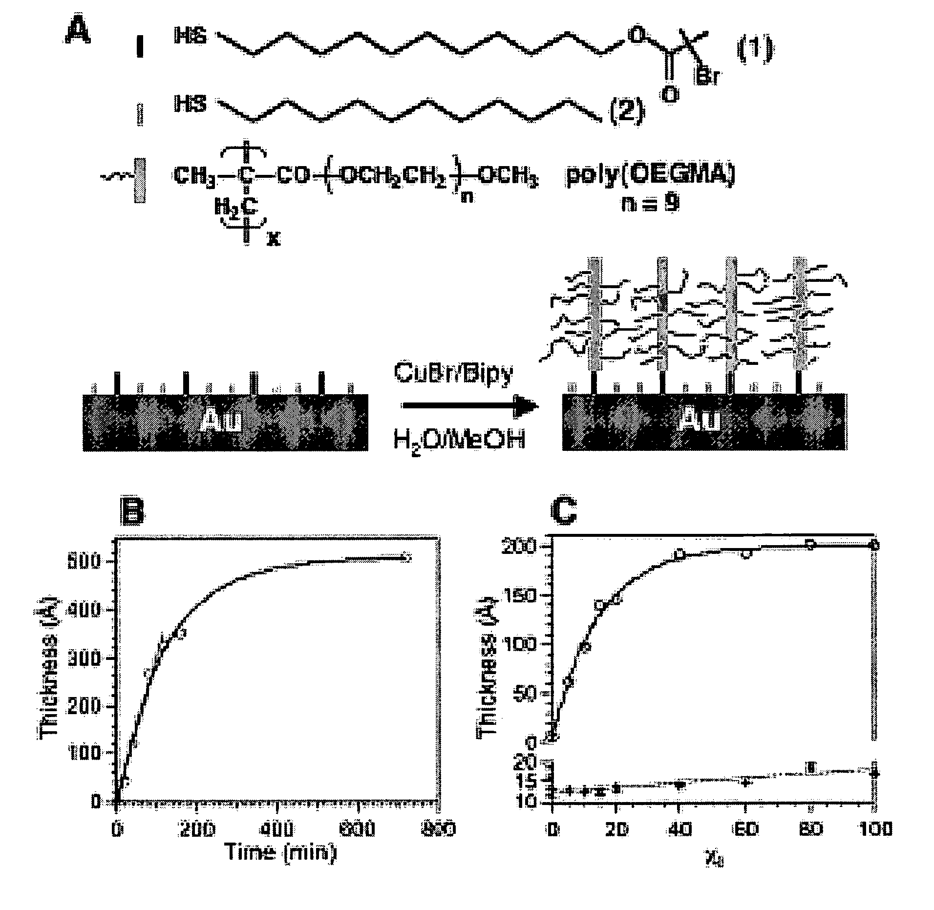 Tunable nonfouling surface of oligoethylene glycol