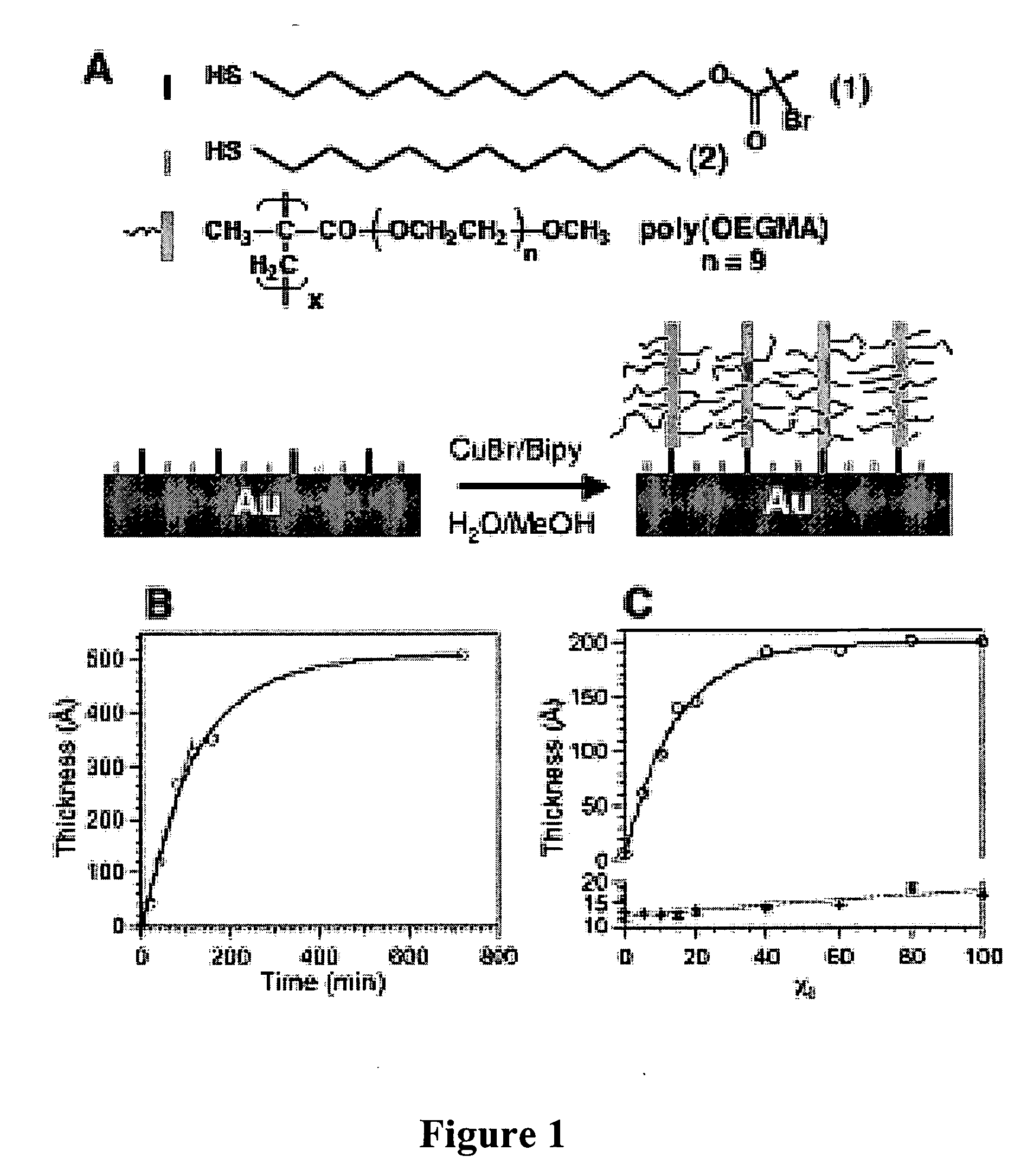 Tunable nonfouling surface of oligoethylene glycol