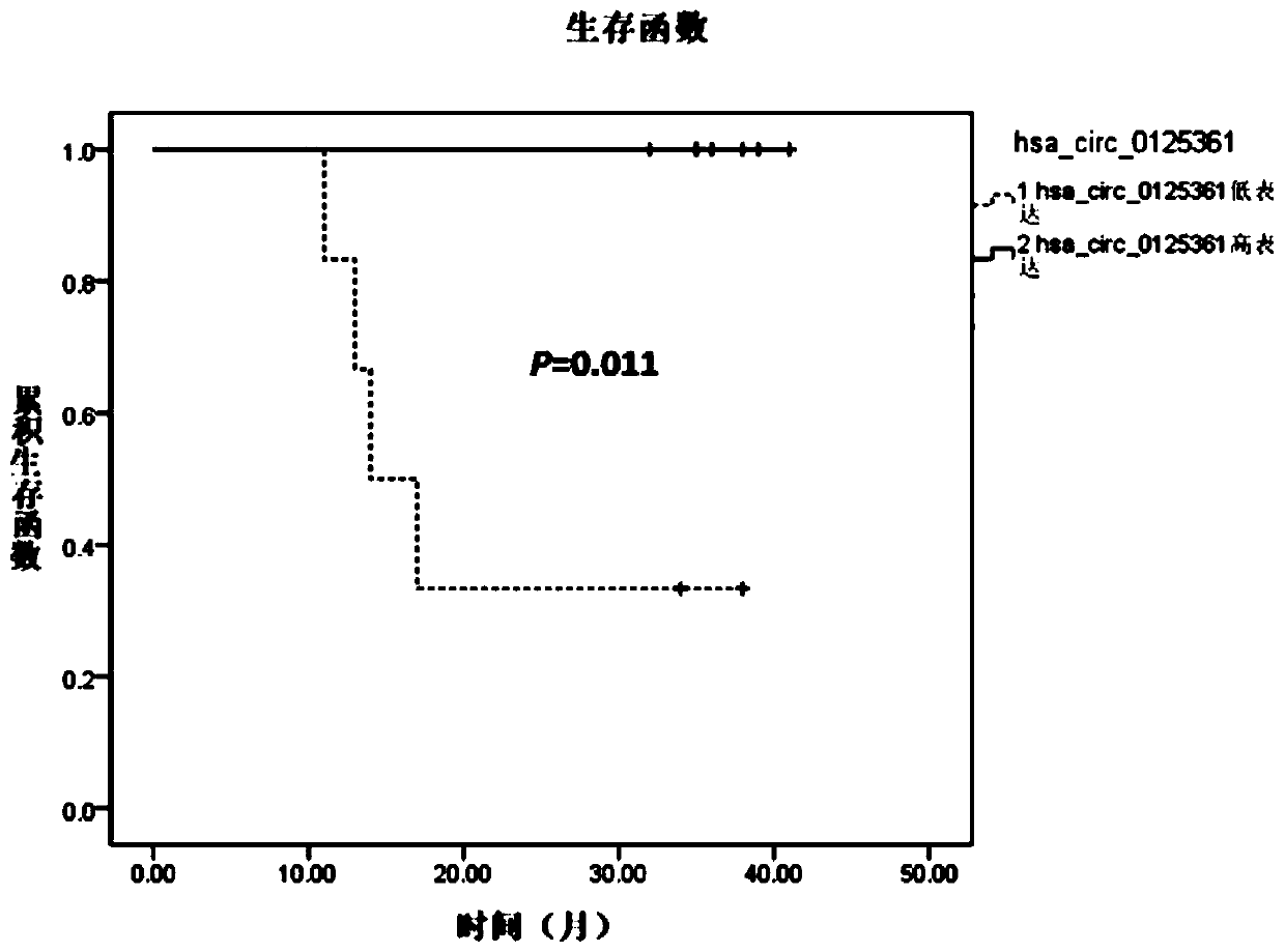 Glioma prognostic marker hsa_circ_0125361 and its application