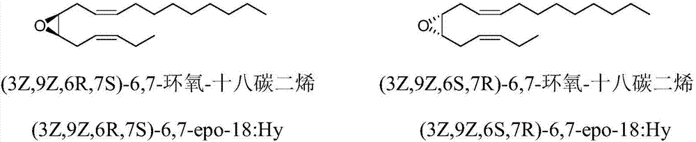 Synthetic method of tea geometrid tea geometrid