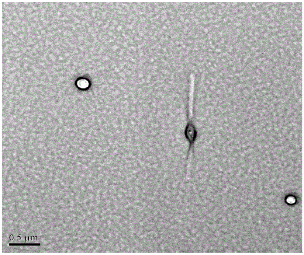 Amphiphilicity guanosine derivative, and preparation method therefor and application thereof in cytidine triphosphate sensing and recognition