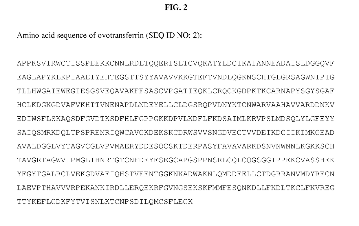 Methods and compositions for egg white protein production