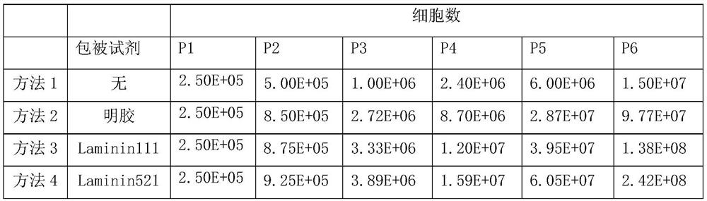 Preparation method of adipose-derived stem cell multi-cell active factor freeze-dried powder