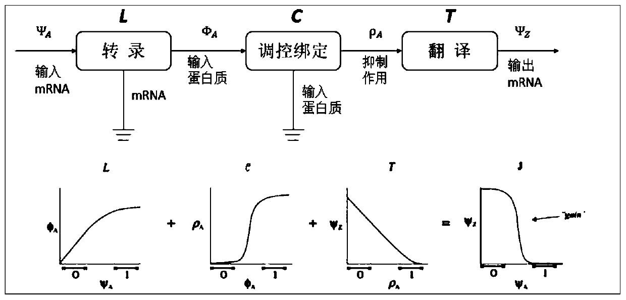 Code-level cerebral apoplexy diagnosis gene circuit design method