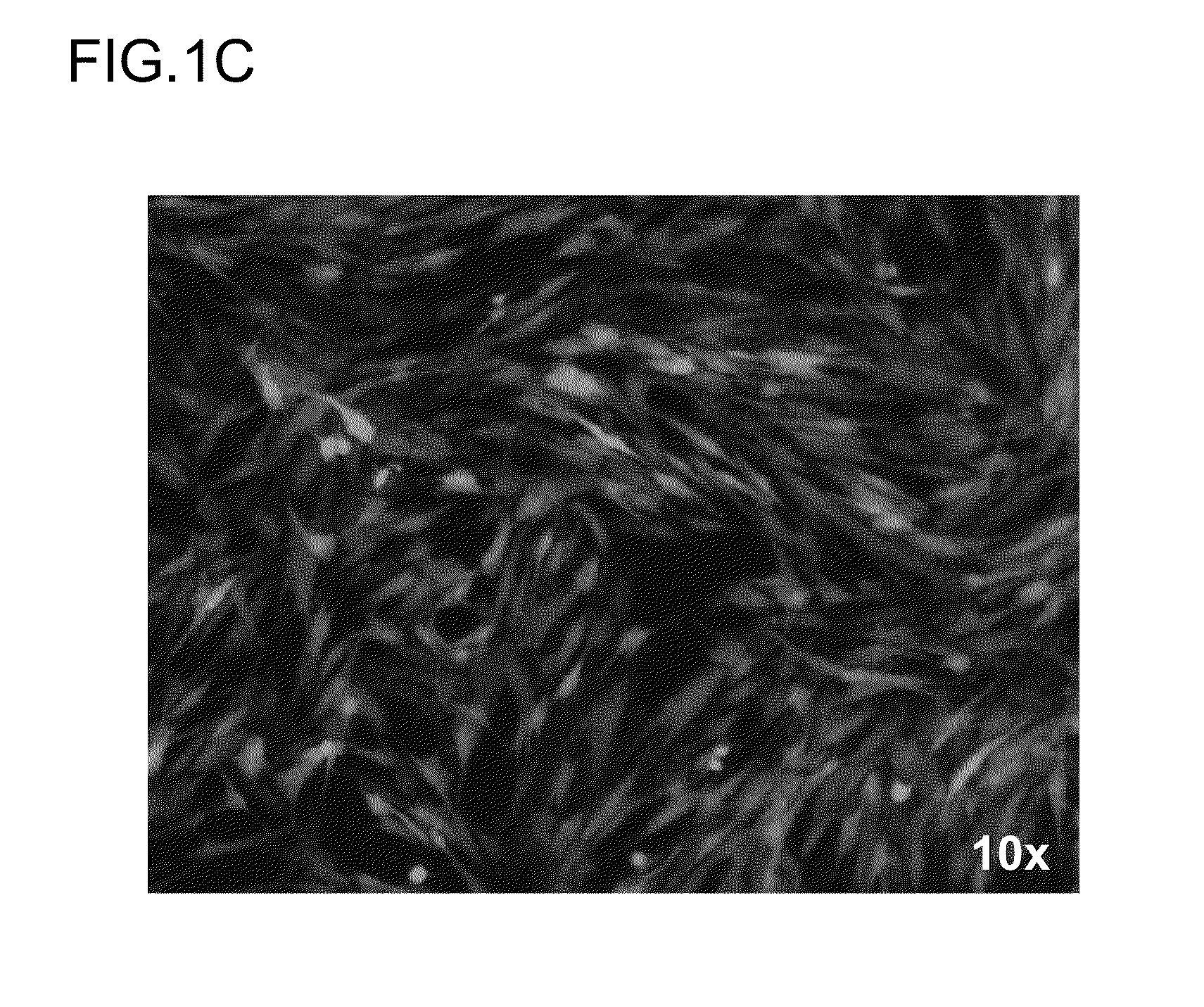 Methods of preparing pluripotent stem cells