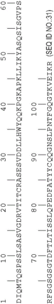 Methods for diagnosing and treating inflammatory bowel disease