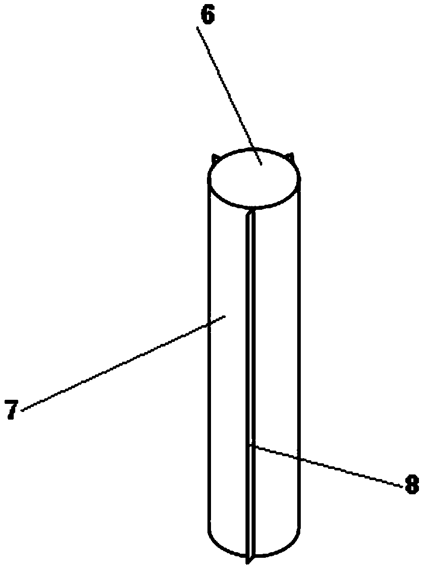 Device and method for removing suckers in processing of squids