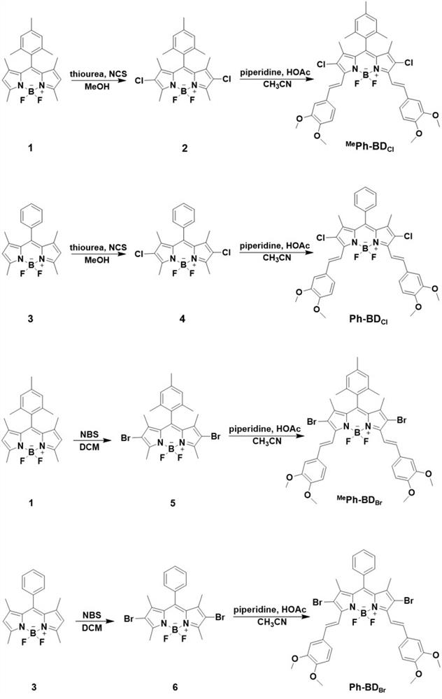 Preparation method and application of j-aggregate photothermal nanoagent based on dyes and polymers