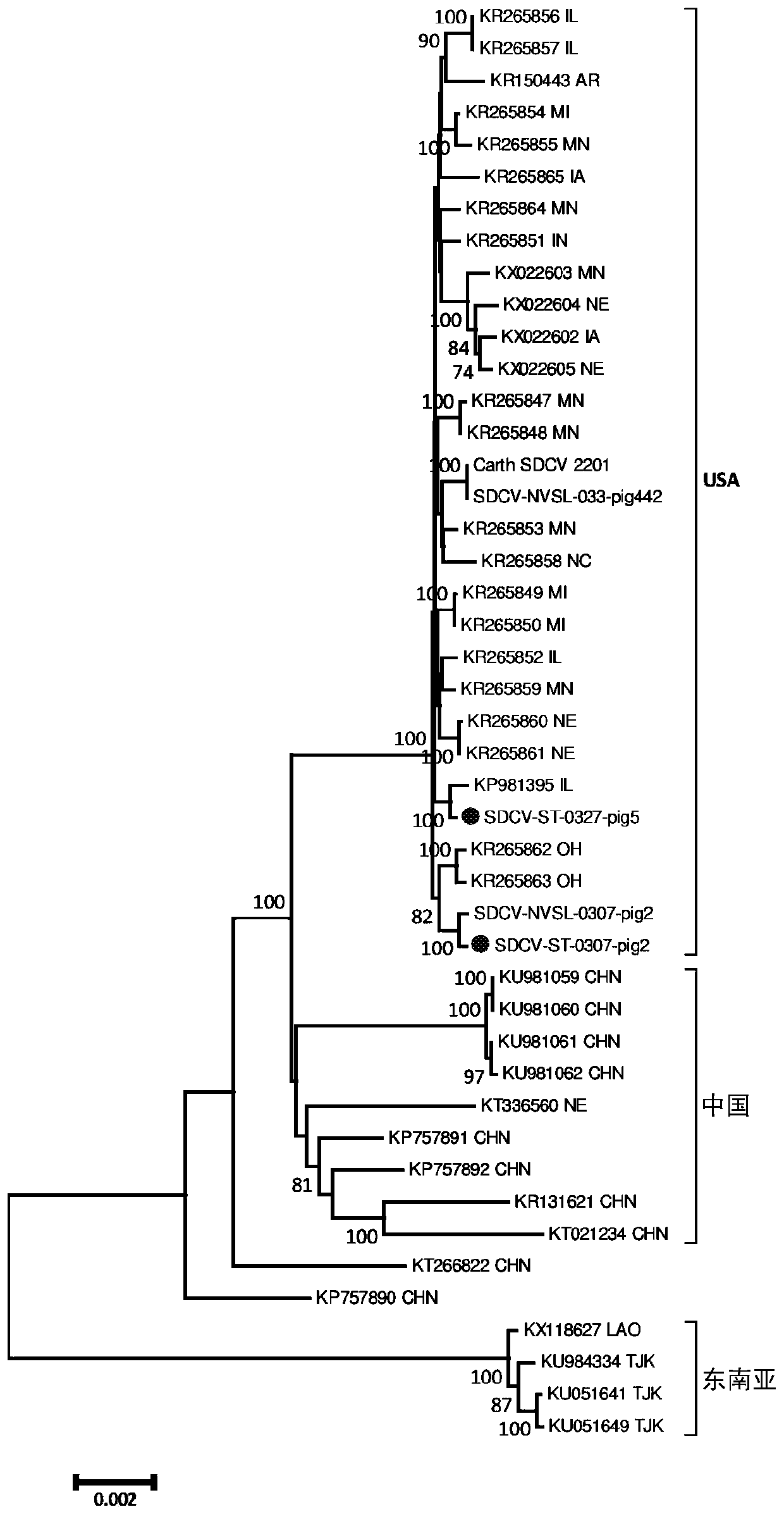 Porcine coronavirus vaccines