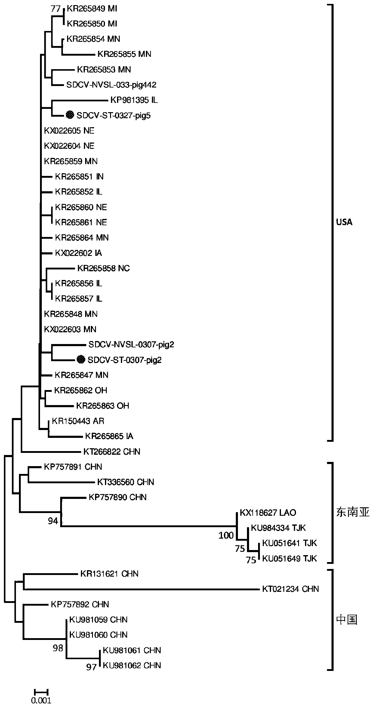 Porcine coronavirus vaccines