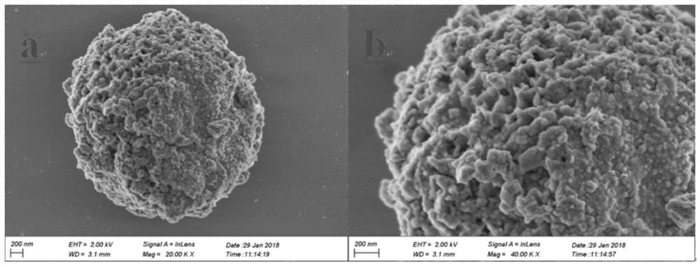 A binary compound semiconductor photocatalyst material ag  <sub>2</sub> cro  <sub>4</sub> /bioi and its preparation and application