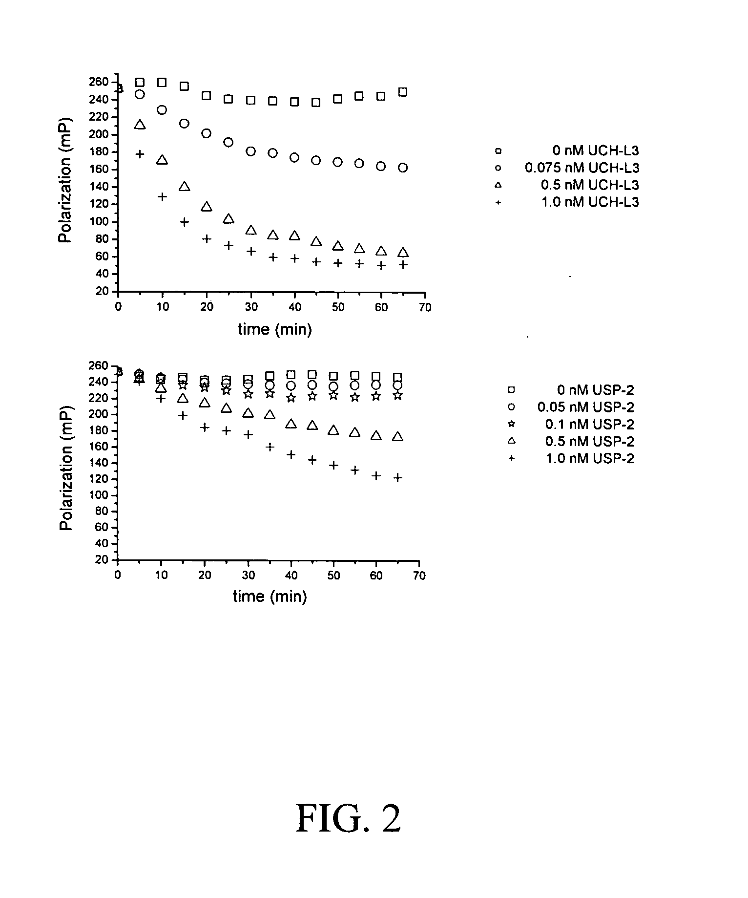 Assay for ubiquitin mediated proteolysis