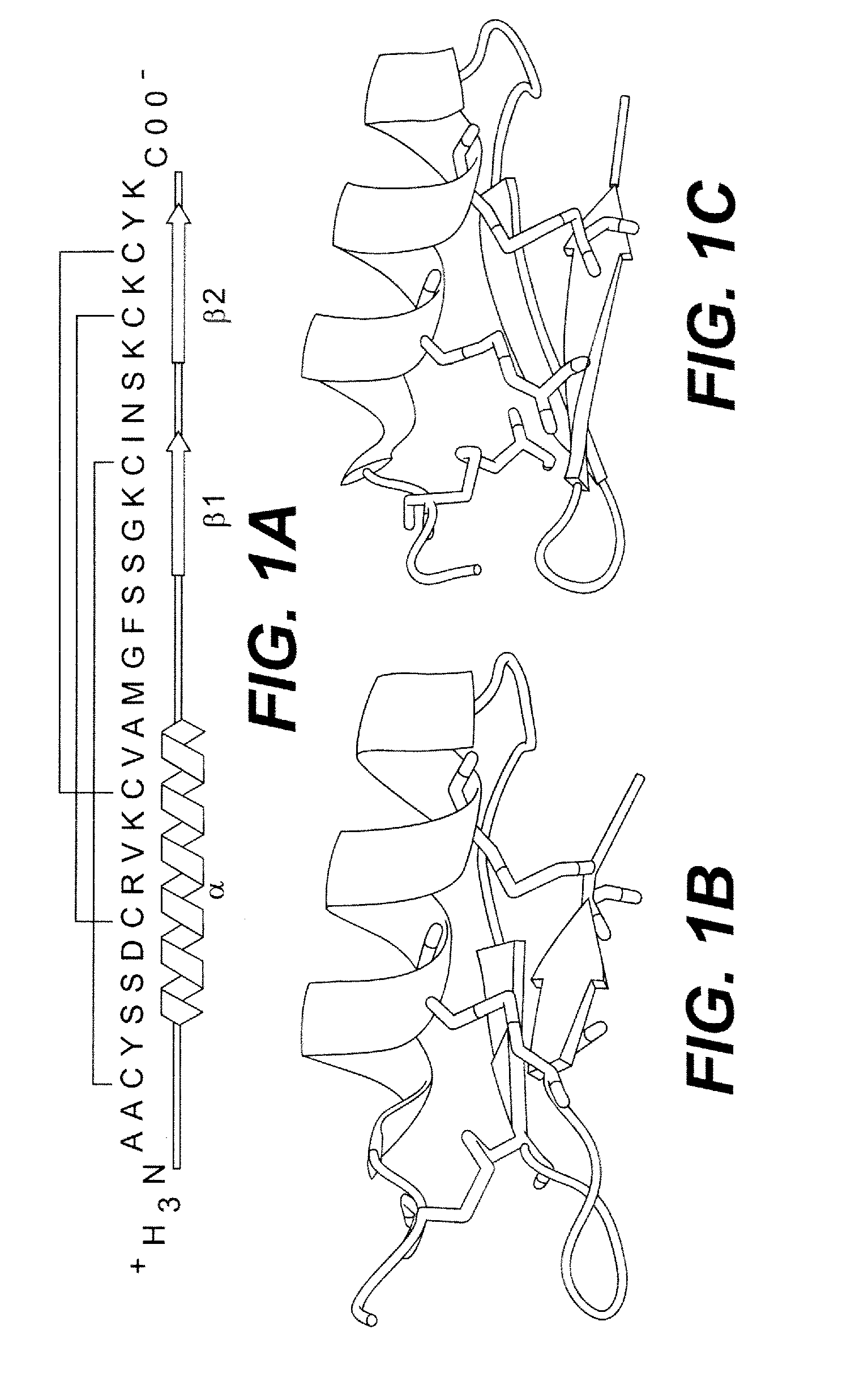 P53 Activator Peptides