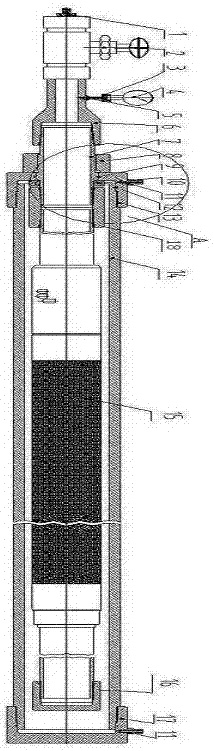 Casing outer packer test device