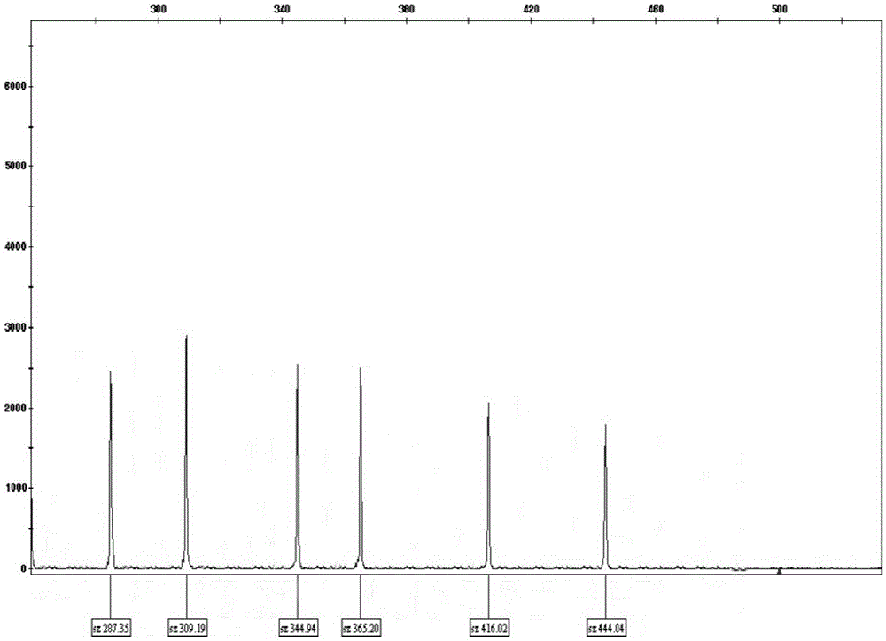 Kit for prognostic stratification of AML (Acute Myelocytic Leukemia)