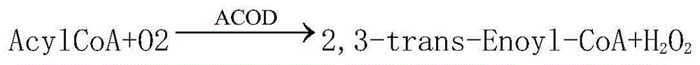 Method, reagent and kit for quantitatively detecting free fatty acid