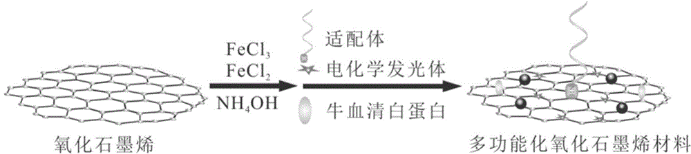 Preparation method and application of electrochemiluminescence aptamer sensor for detecting tumor marker MUC1