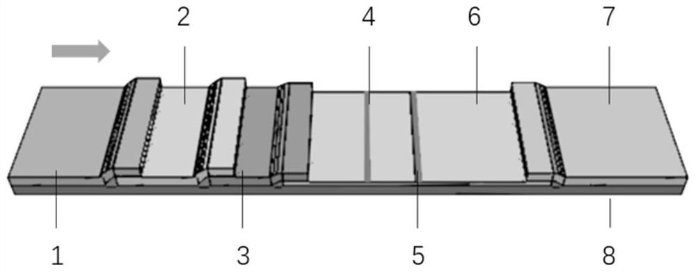 IL-6 fluorescence immunochromatography kit and preparation method thereof