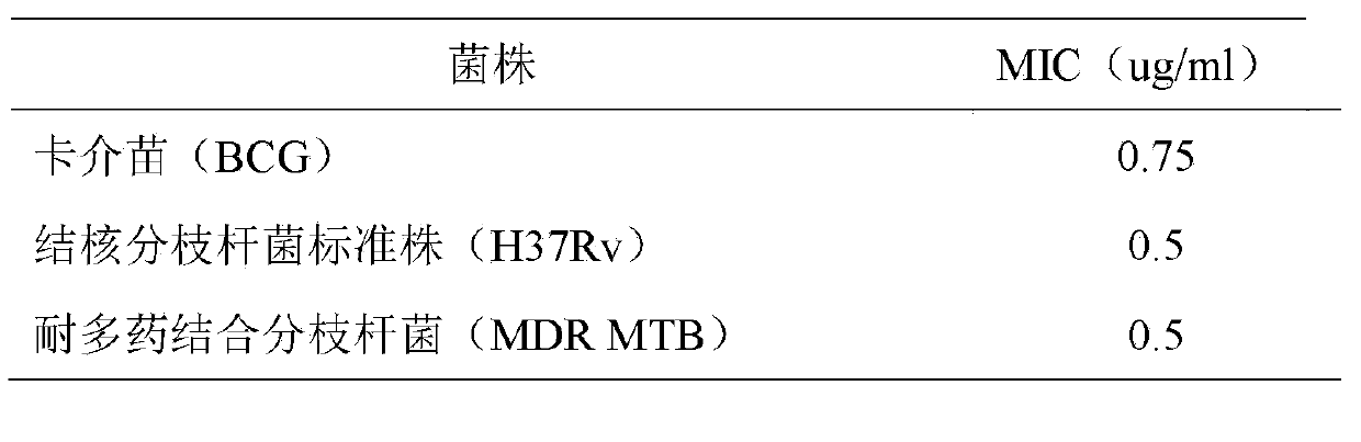 Application of Houttuynoid D in tubercle bacillus resistant medicament