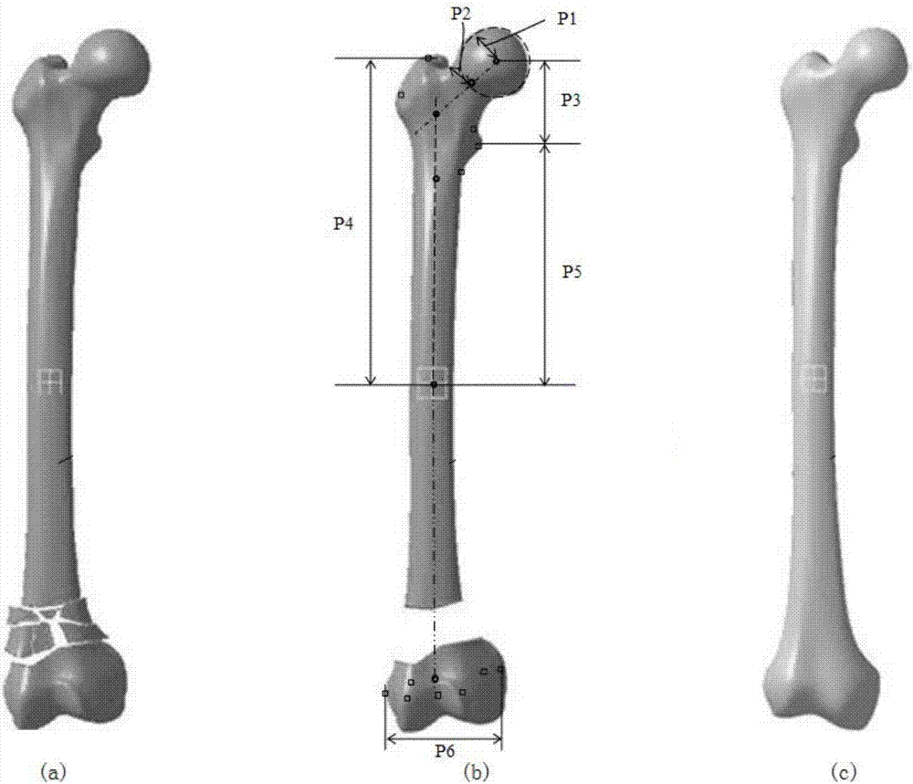 Individualized femoral fracture reduction model construction method