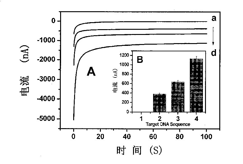 Nano biosensor for detecting PML/RAR alpha fusion gene of acute promyelocytic leukemia