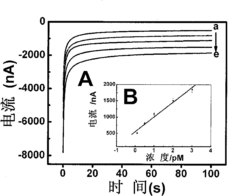 Nano biosensor for detecting PML/RAR alpha fusion gene of acute promyelocytic leukemia