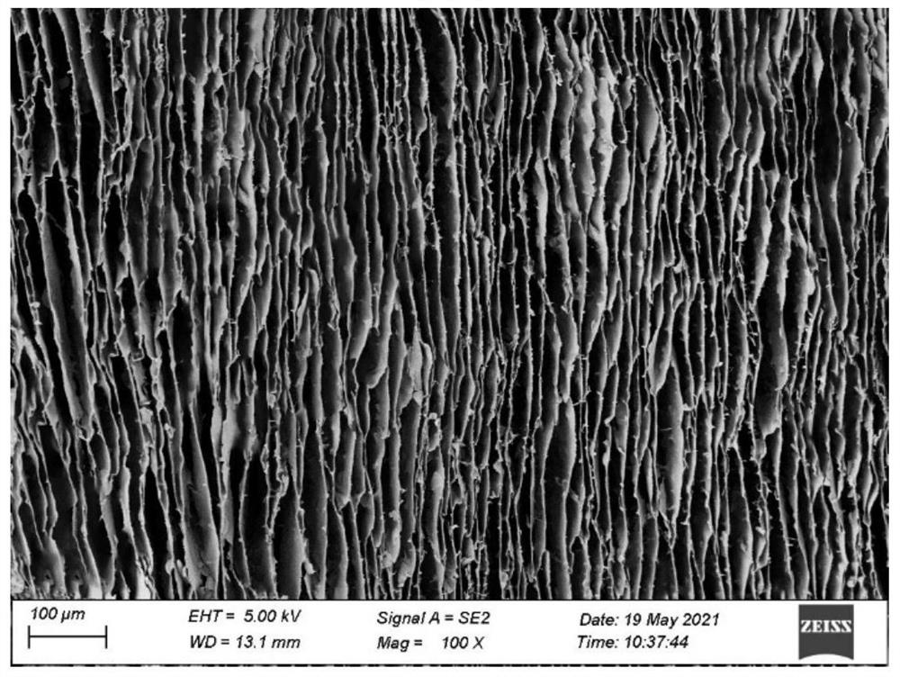 Ordered lamellar polyamidoxime-based graphene oxide composite material for extracting uranium from seawater and preparation method thereof