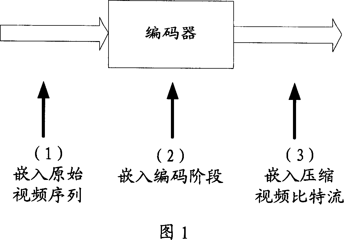 Coding and decoding equipment with watermark encrypting