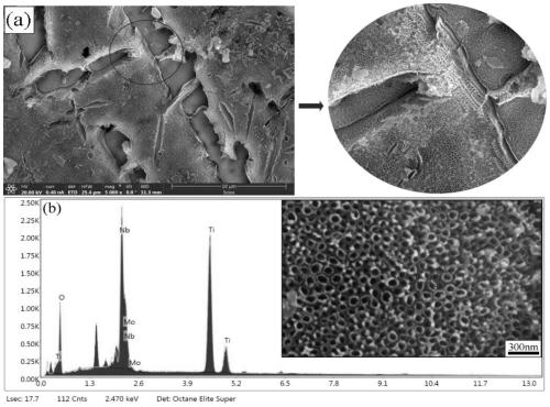 Medical titanium alloy surface coating and preparation method thereof