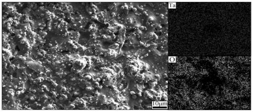 Medical titanium alloy surface coating and preparation method thereof