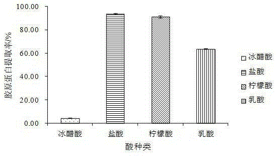 Non-degenerated jellyfish collagen preparation method