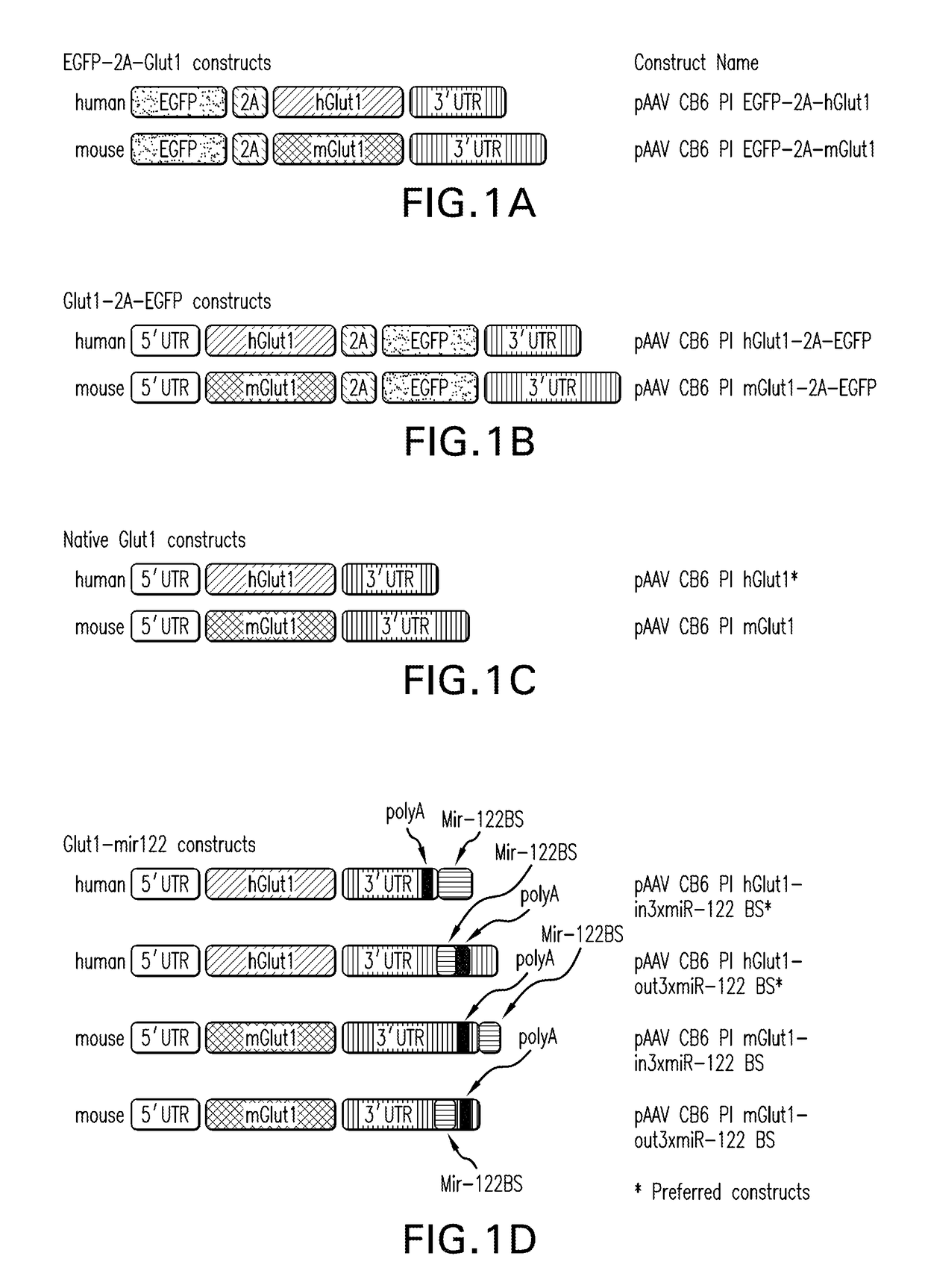 Recombinant glut1 adeno-associated viral vector constructs and related methods for restoring glut1 expression