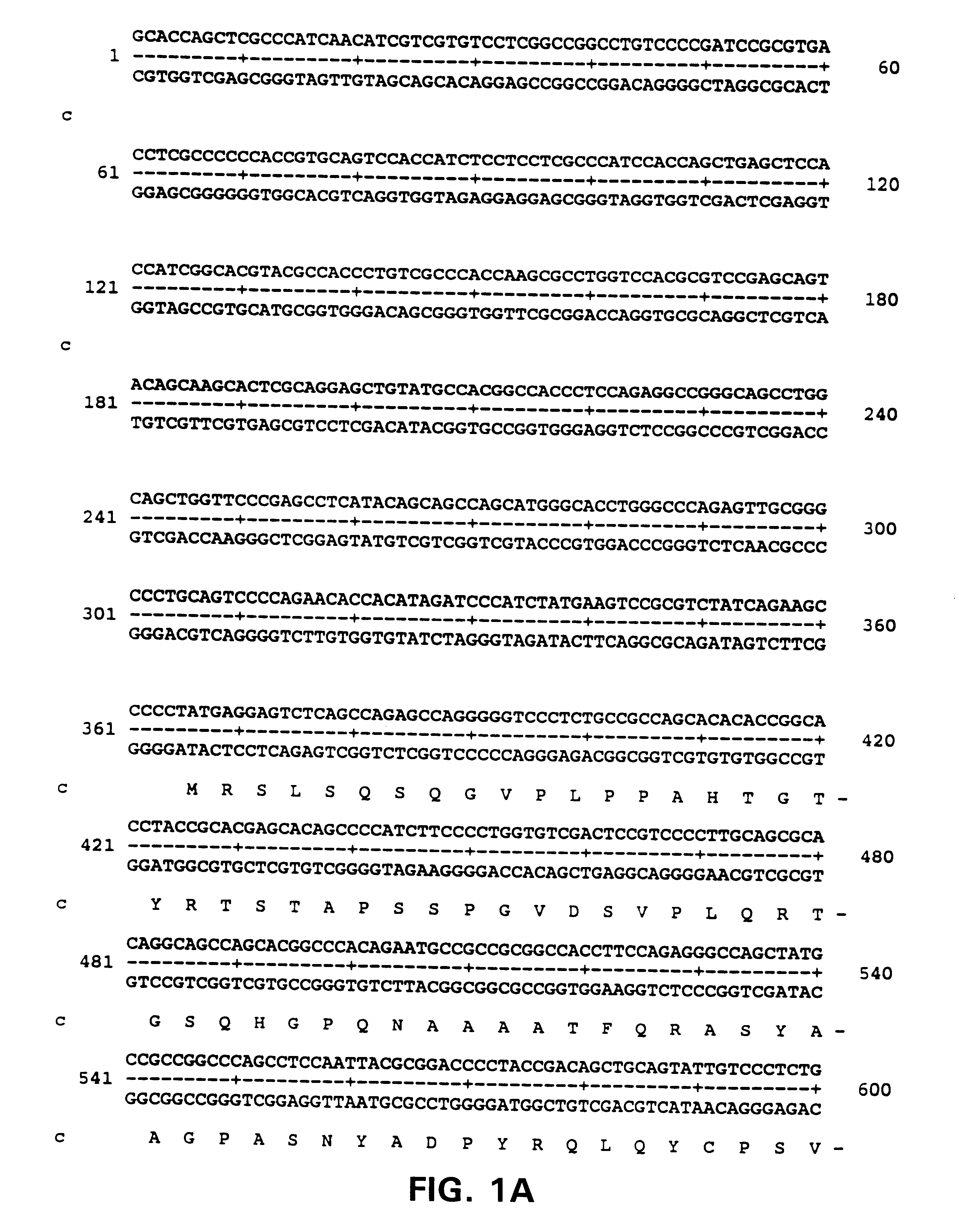 Alarm related peptides and nucleic acids and diagnosis using them