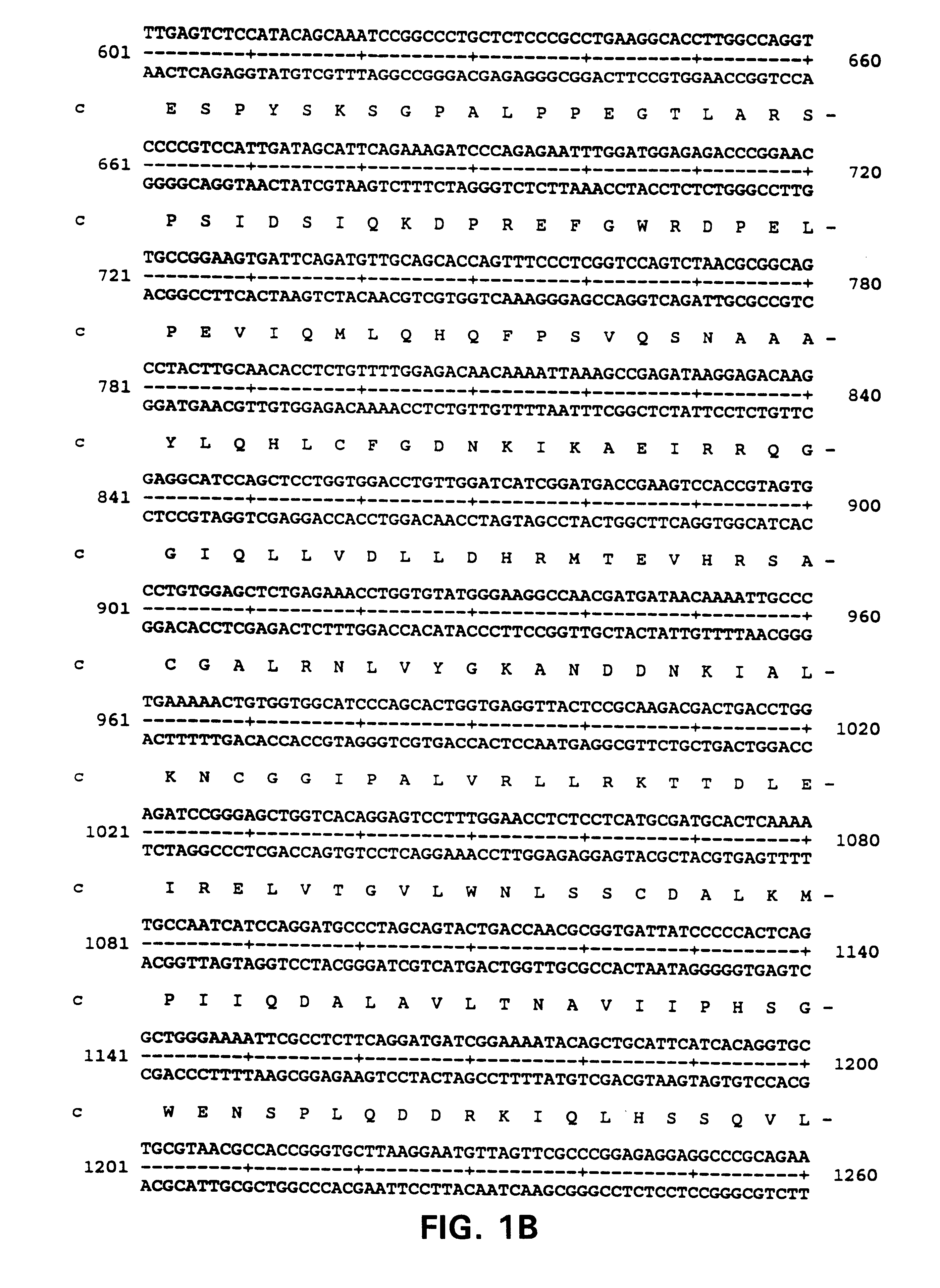 Alarm related peptides and nucleic acids and diagnosis using them