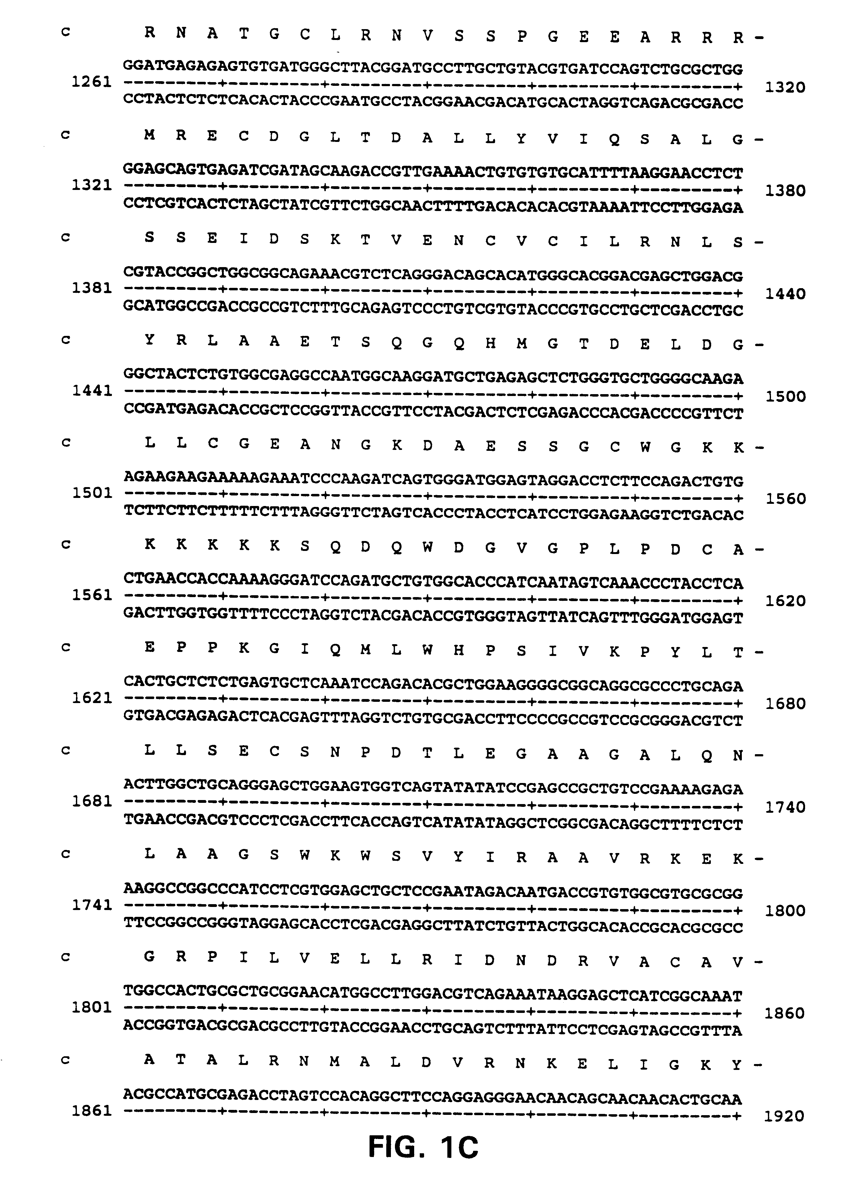 Alarm related peptides and nucleic acids and diagnosis using them