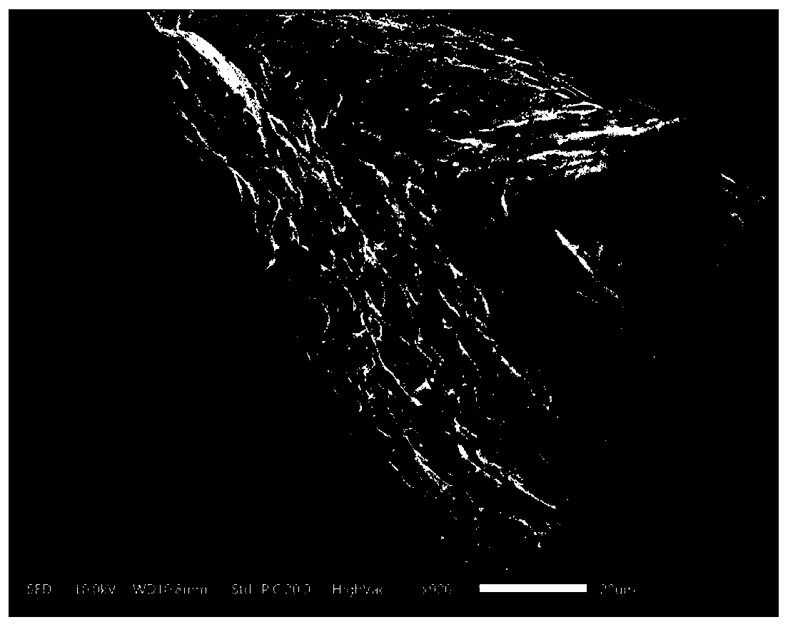 One-pot method for simultaneously preparing carbon quantum dots and porous carbon