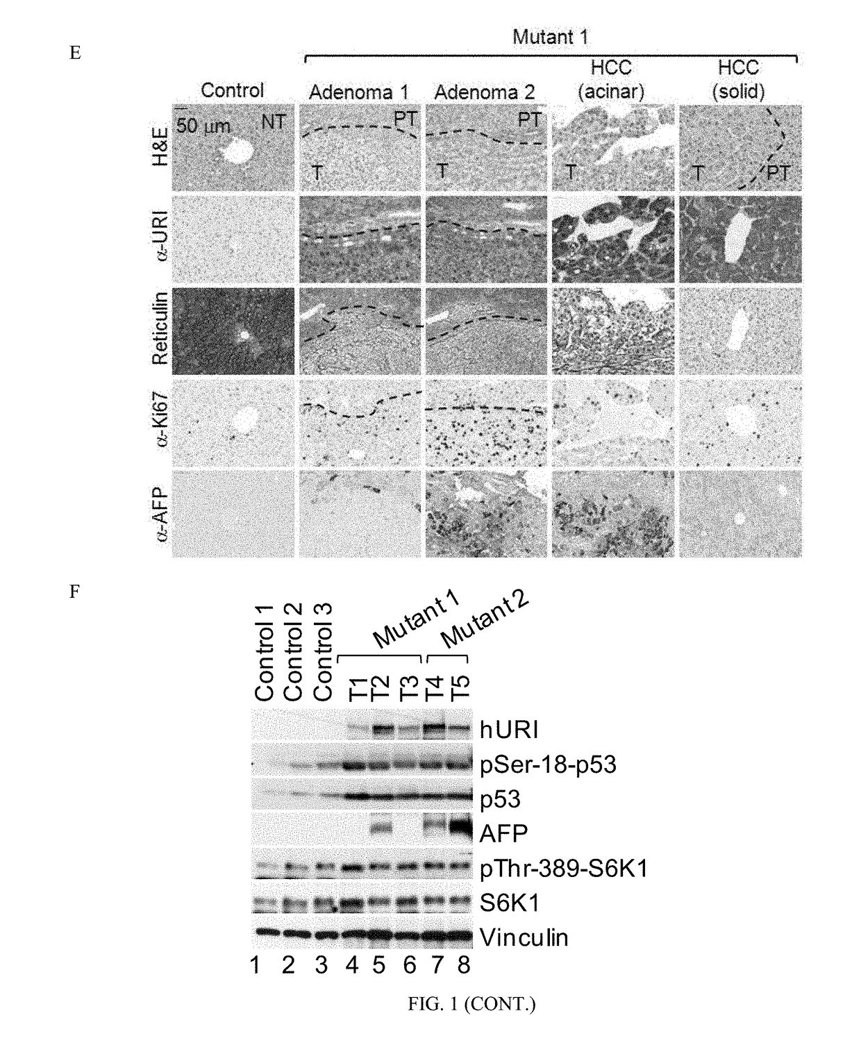 Methods for Treating Cancer