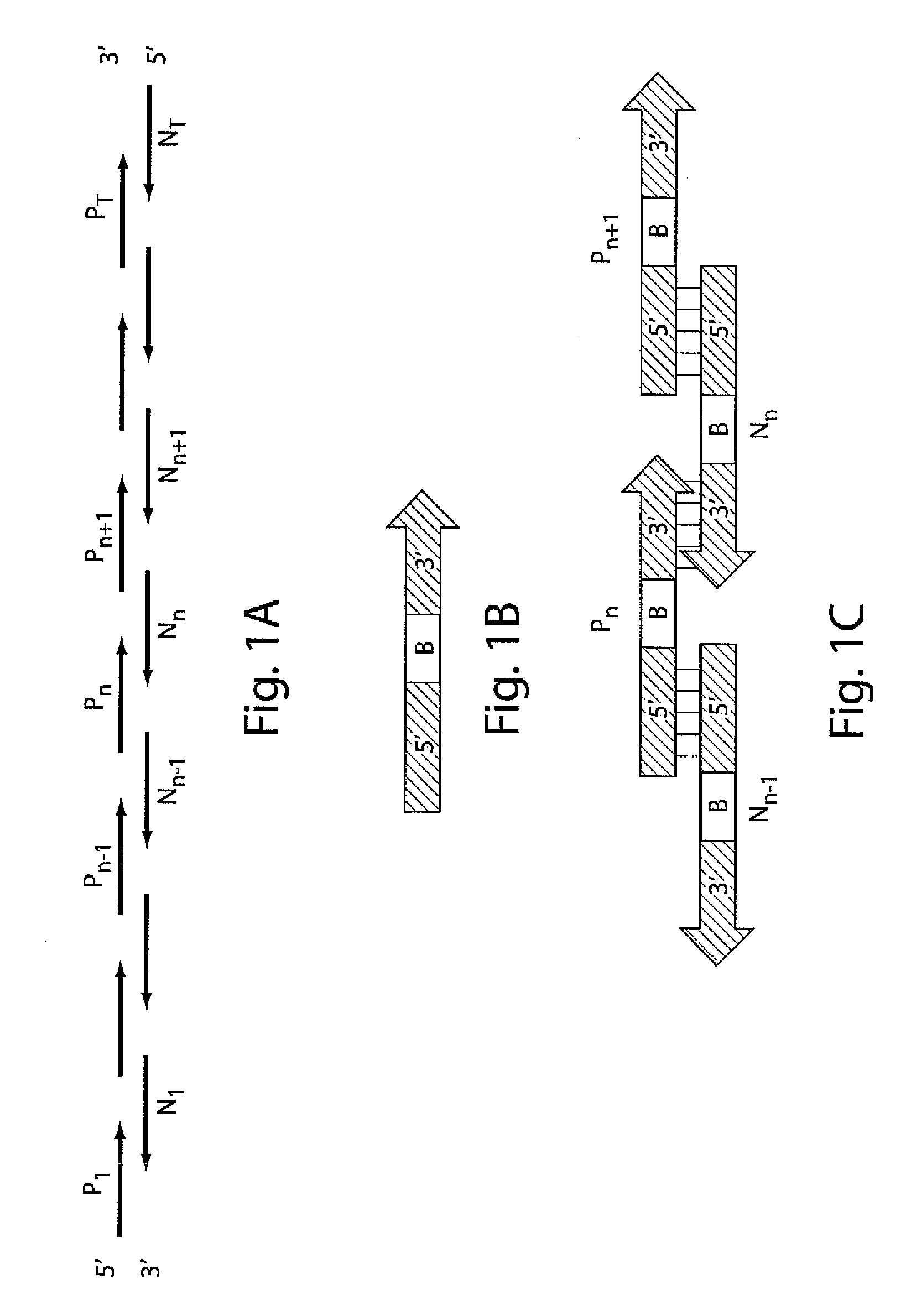 Iterative nucleic acid assembly using activation of vector-encoded traits