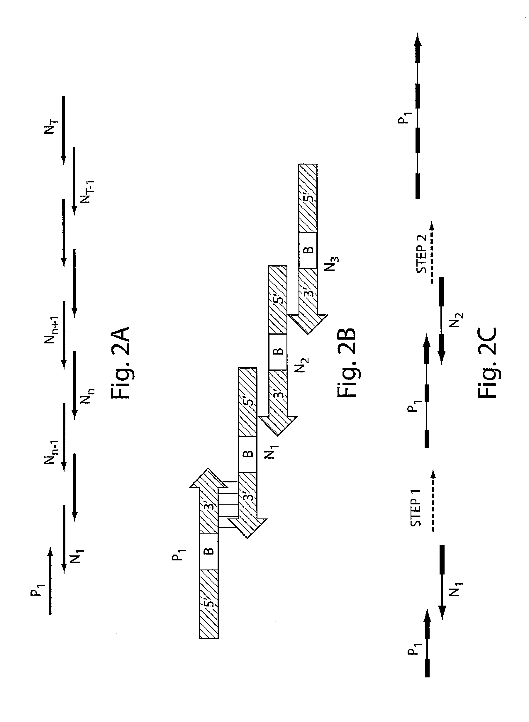 Iterative nucleic acid assembly using activation of vector-encoded traits